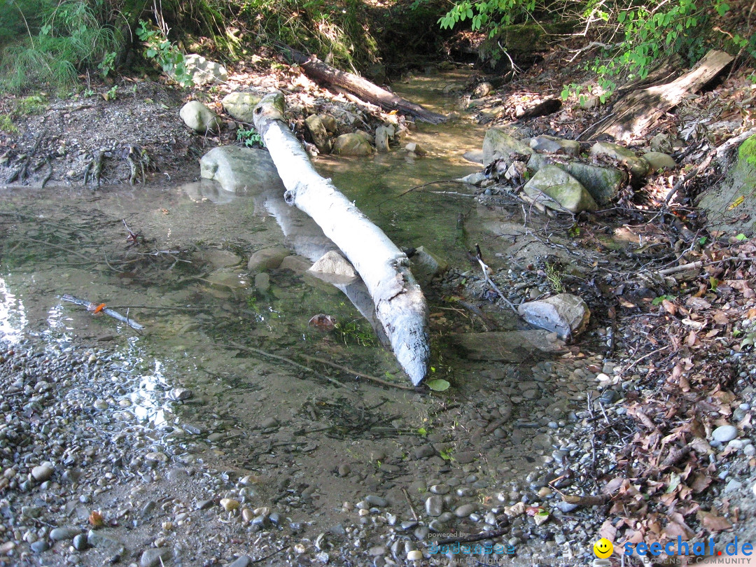 Marienschlucht: Bodman am Bodensee, 27.04.2012