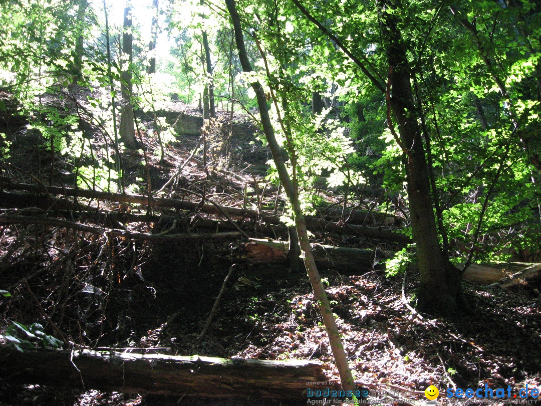 Marienschlucht: Bodman am Bodensee, 27.04.2012