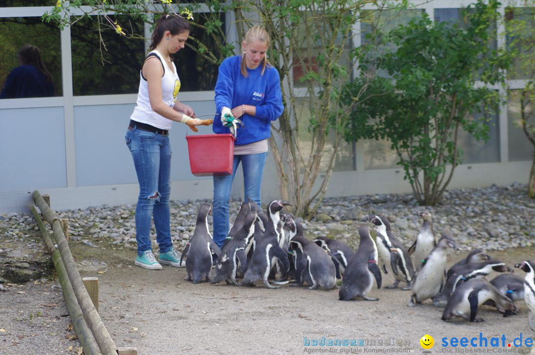 ZZ1-Zoo-Zuerich-26042012-Bodensee-Community_SEECHAT_DE-_162.jpg