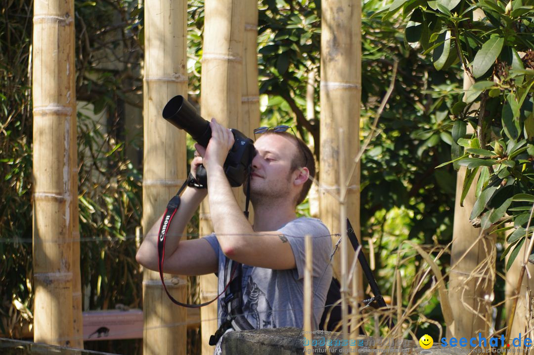 Zoo-Z_rich-26042012-Bodensee-Community-Seechat-de54.jpg