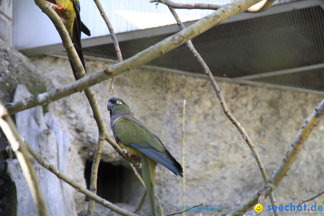 Zoo-Zuerich-26042012-Bodensee-Community_SEECHAT_DE-_02.jpg