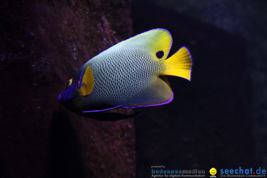 Zoo-Zuerich-26042012-Bodensee-Community_SEECHAT_DE-_07.jpg