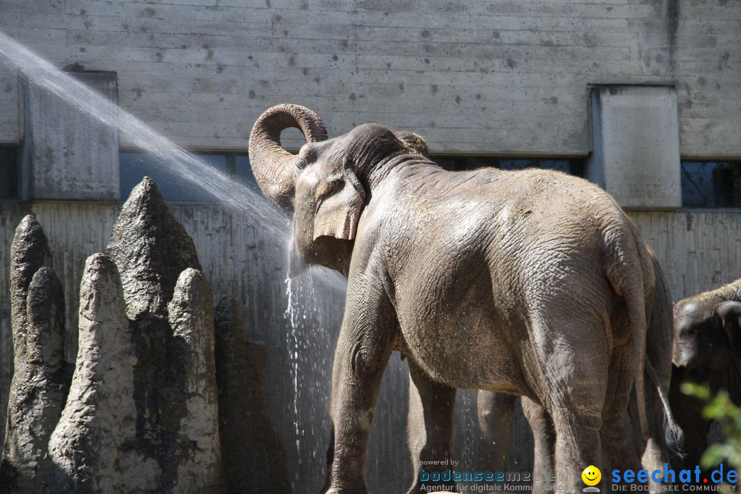 Zoo-Zuerich-26042012-Bodensee-Community_SEECHAT_DE-_10.jpg