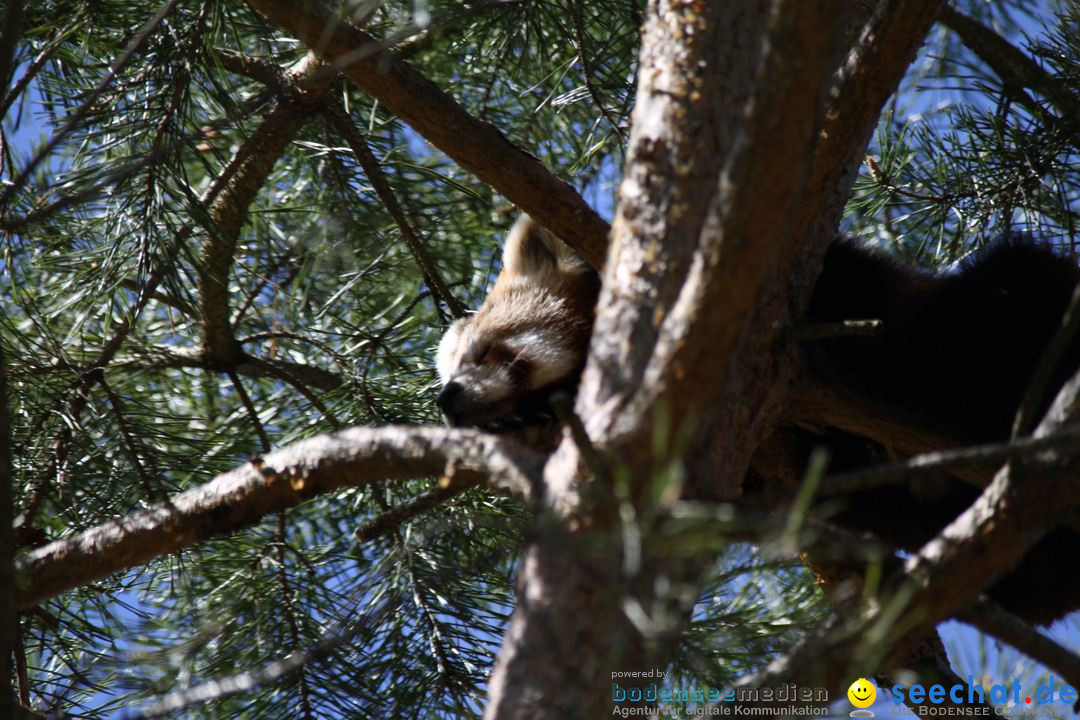 Zoo-Zuerich-26042012-Bodensee-Community_SEECHAT_DE-_105.jpg