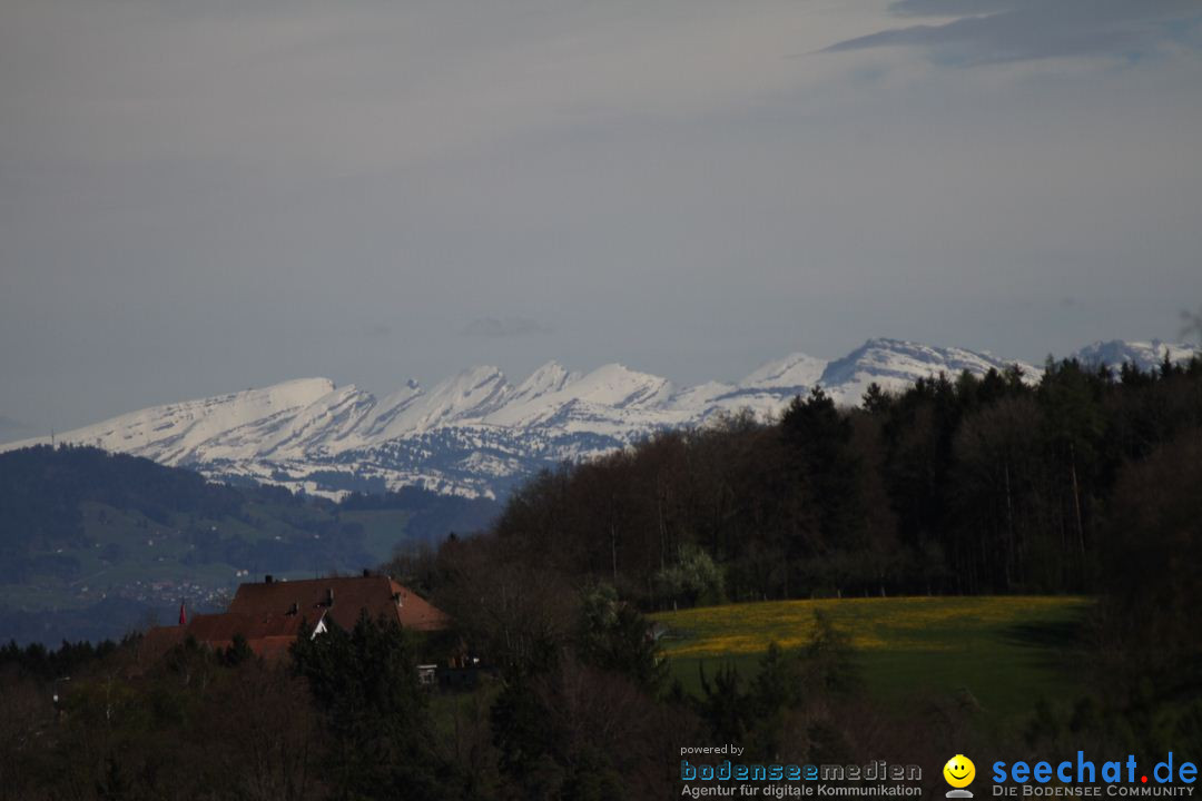 Zoo-Zuerich-26042012-Bodensee-Community_SEECHAT_DE-_110.jpg