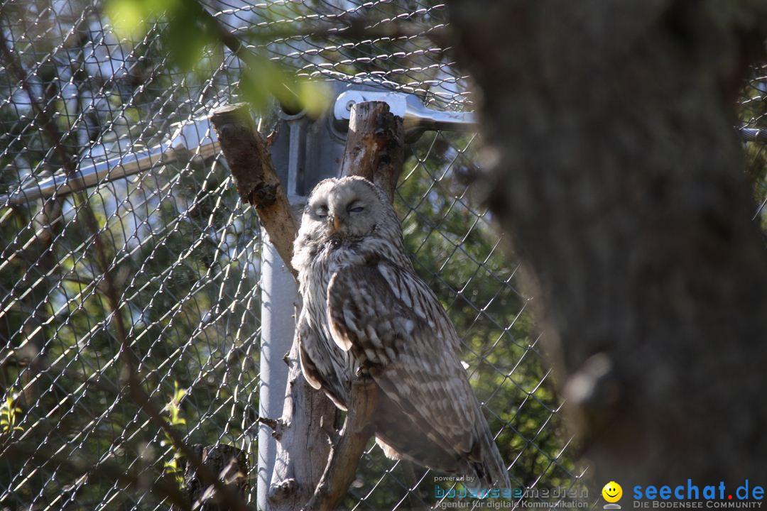 Zoo-Zuerich-26042012-Bodensee-Community_SEECHAT_DE-_111.jpg