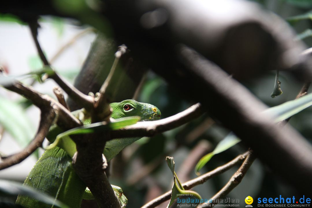 Zoo-Zuerich-26042012-Bodensee-Community_SEECHAT_DE-_148.jpg