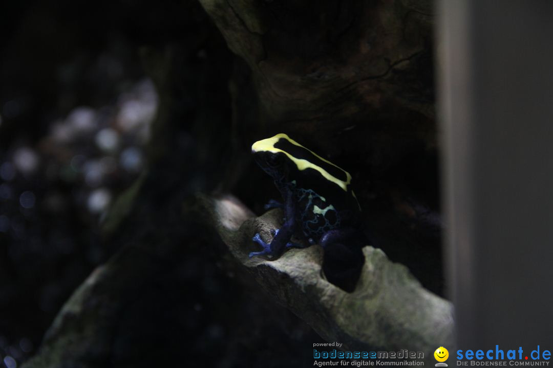 Zoo-Zuerich-26042012-Bodensee-Community_SEECHAT_DE-_15.jpg