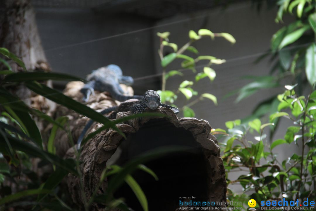 Zoo-Zuerich-26042012-Bodensee-Community_SEECHAT_DE-_151.jpg