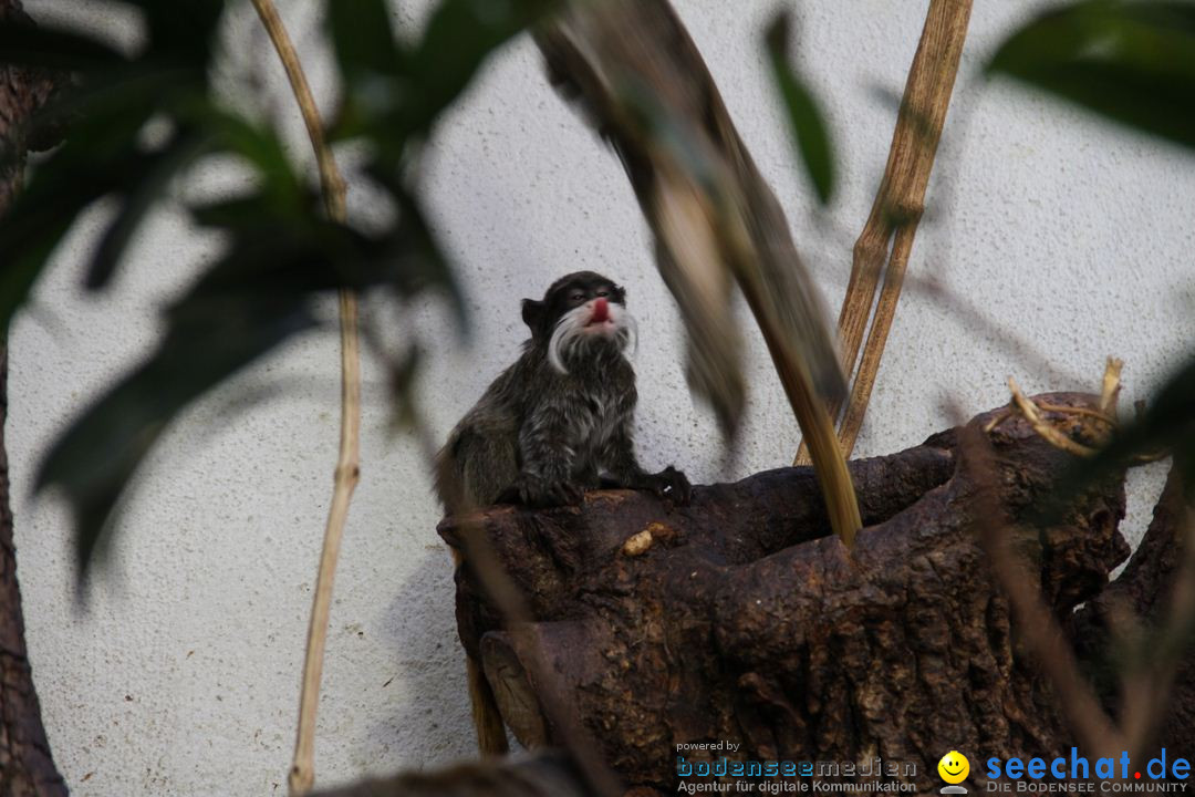 Zoo-Zuerich-26042012-Bodensee-Community_SEECHAT_DE-_155.jpg