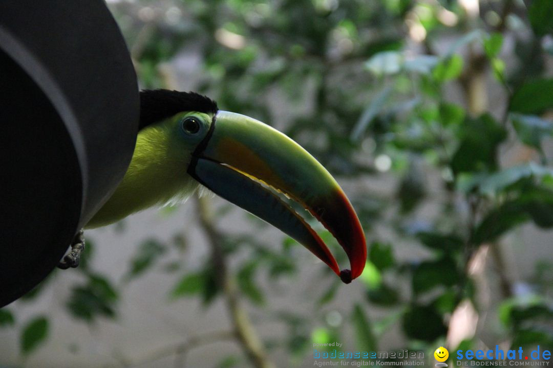 Zoo-Zuerich-26042012-Bodensee-Community_SEECHAT_DE-_16.jpg