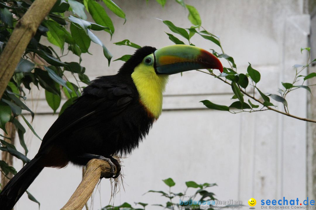 Zoo-Zuerich-26042012-Bodensee-Community_SEECHAT_DE-_160.jpg