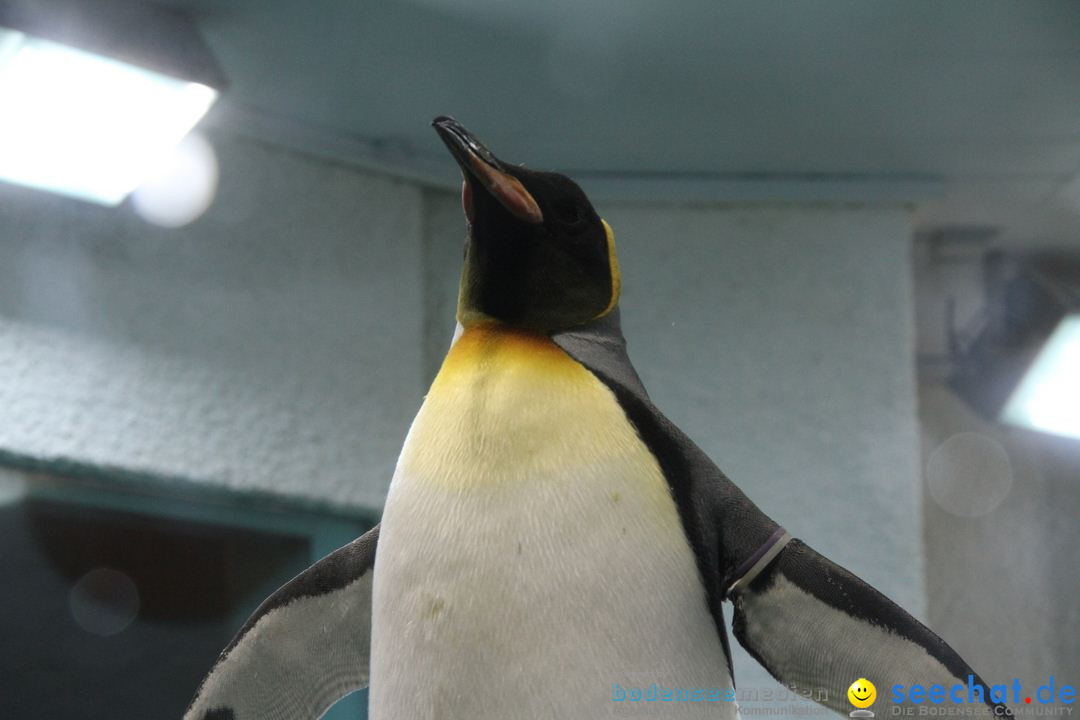 Zoo-Zuerich-26042012-Bodensee-Community_SEECHAT_DE-_30.jpg