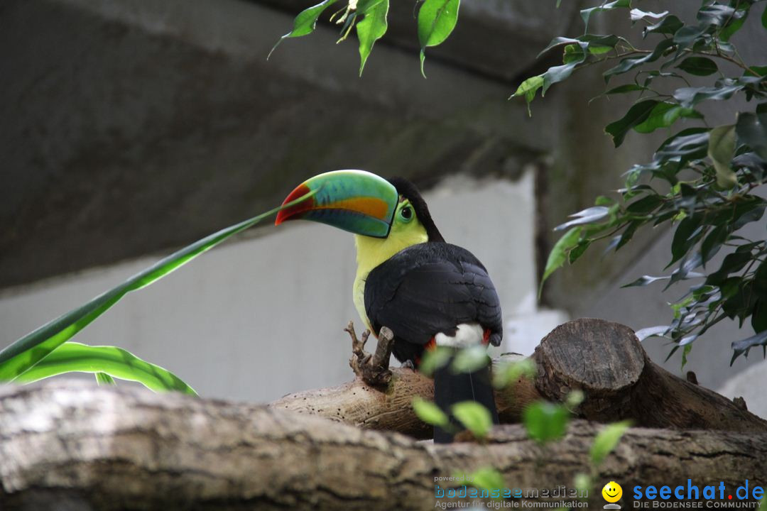 Zoo-Zuerich-26042012-Bodensee-Community_SEECHAT_DE-_44.jpg