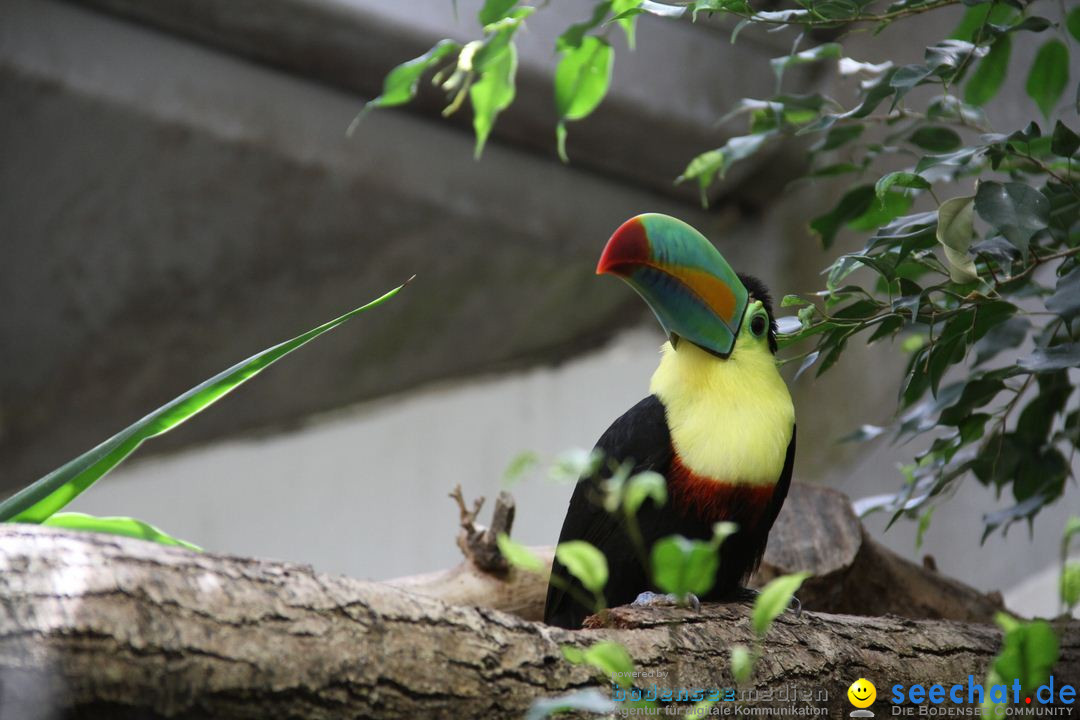 Zoo-Zuerich-26042012-Bodensee-Community_SEECHAT_DE-_45.jpg