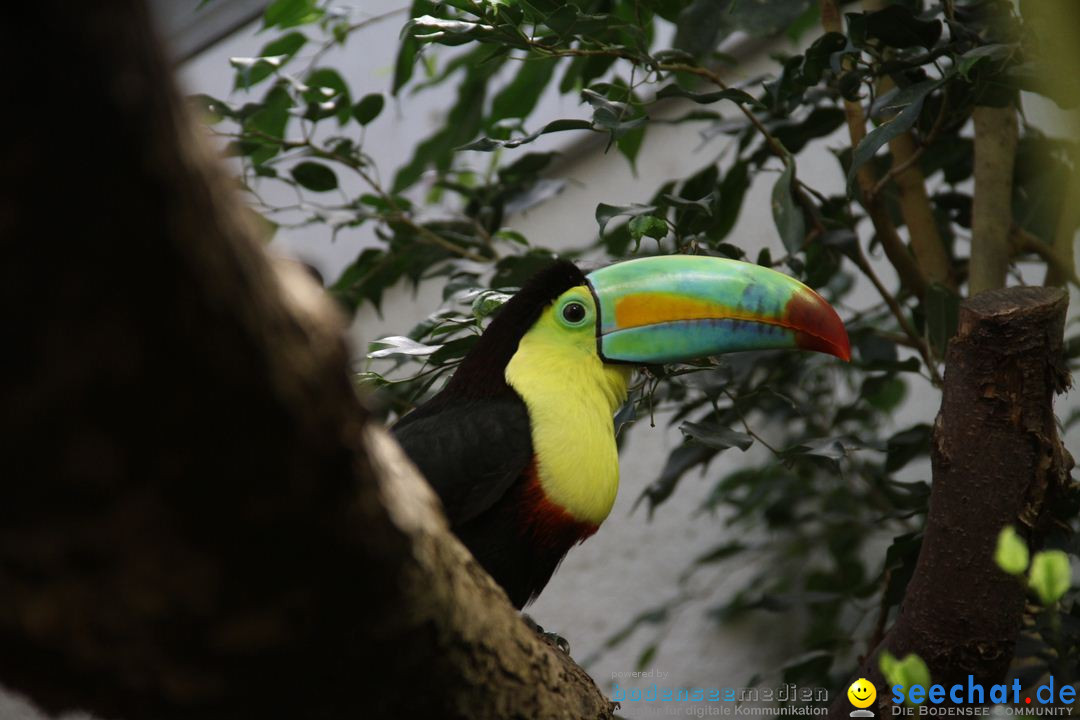 Zoo-Zuerich-26042012-Bodensee-Community_SEECHAT_DE-_47.jpg