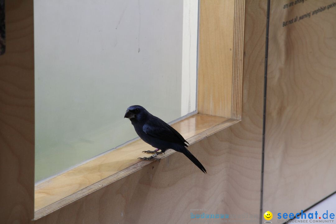 Zoo-Zuerich-26042012-Bodensee-Community_SEECHAT_DE-_50.jpg