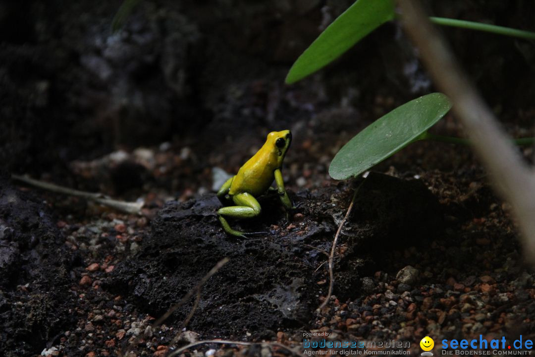 Zoo-Zuerich-26042012-Bodensee-Community_SEECHAT_DE-_51.jpg