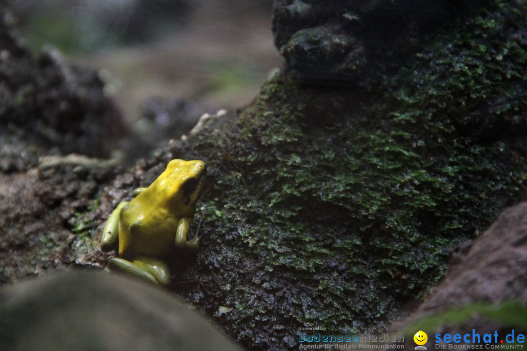 Zoo-Zuerich-26042012-Bodensee-Community_SEECHAT_DE-_52.jpg