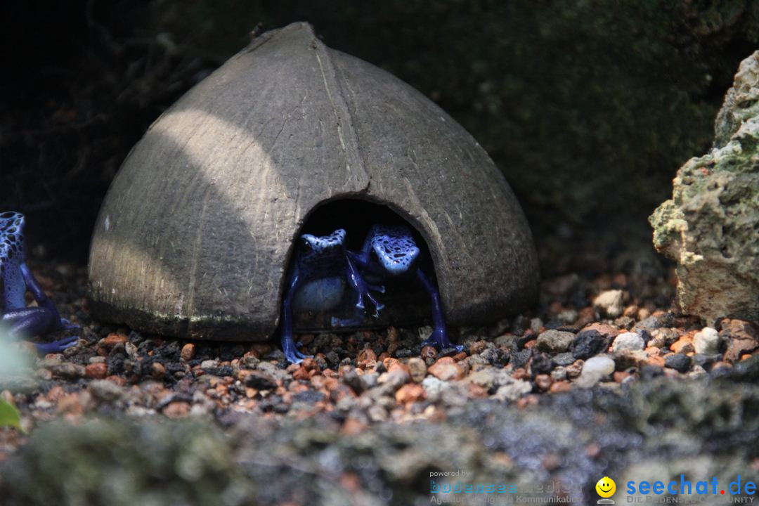 Zoo-Zuerich-26042012-Bodensee-Community_SEECHAT_DE-_53.jpg