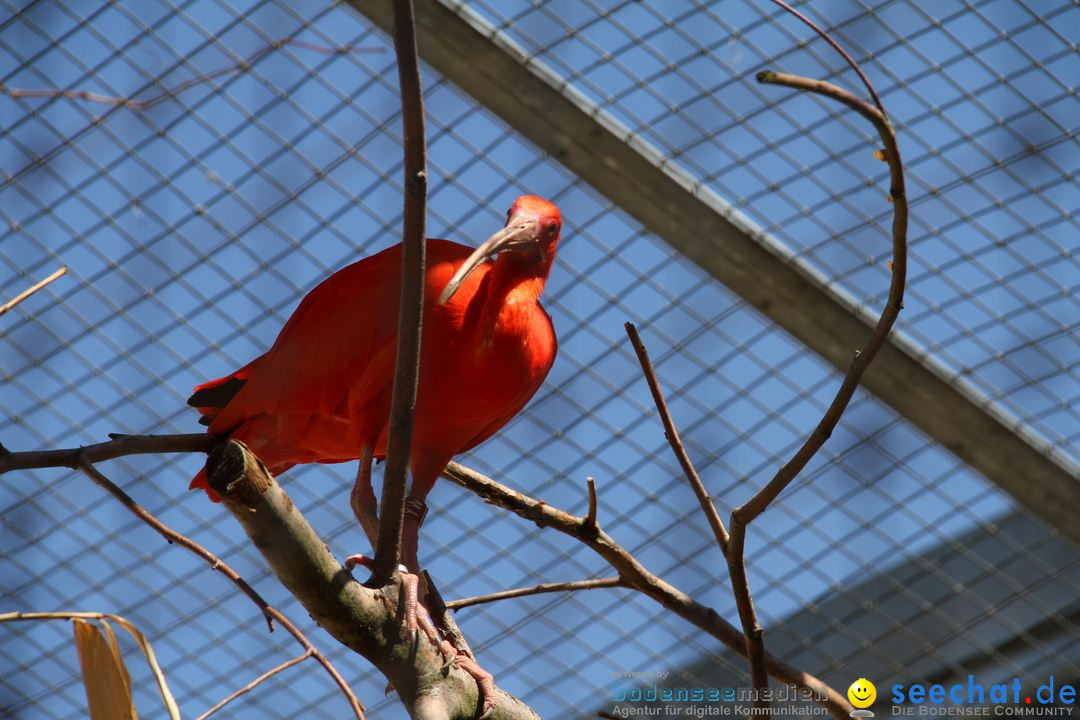 Zoo-Zuerich-26042012-Bodensee-Community_SEECHAT_DE-_54.jpg