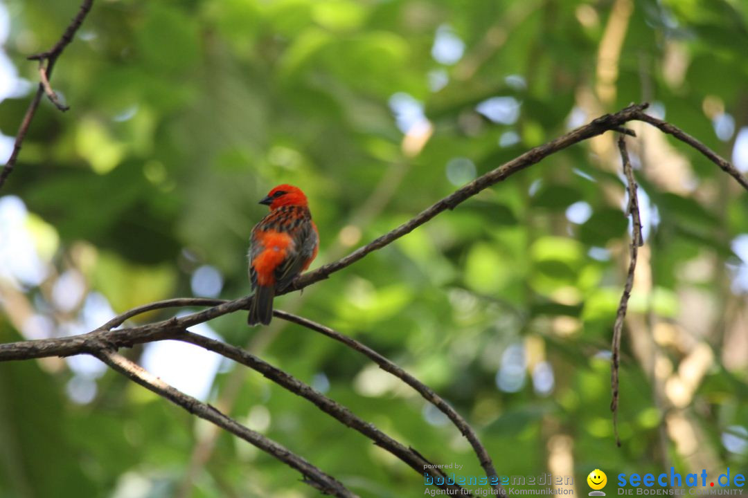 Zoo-Zuerich-26042012-Bodensee-Community_SEECHAT_DE-_79.jpg