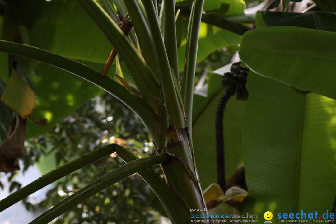 Zoo-Zuerich-26042012-Bodensee-Community_SEECHAT_DE-_89.jpg