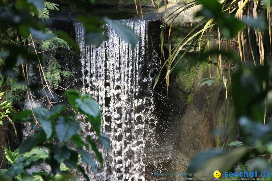 Zoo-Zuerich-26042012-Bodensee-Community_SEECHAT_DE-_91.jpg