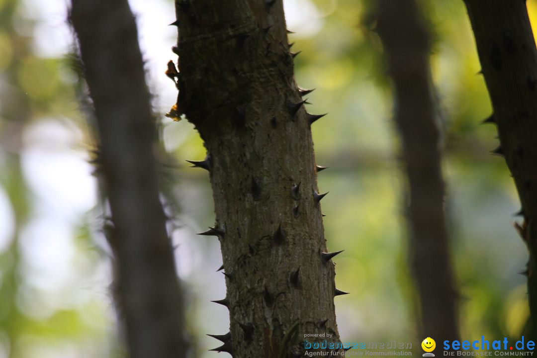 Zoo-Zuerich-26042012-Bodensee-Community_SEECHAT_DE-_93.jpg