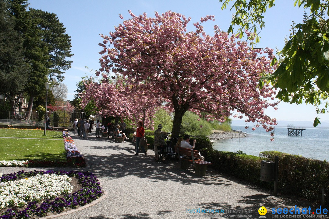 41. Internationale Flottensternfahrt am Bodensee: Meersburg, 28.04.2012