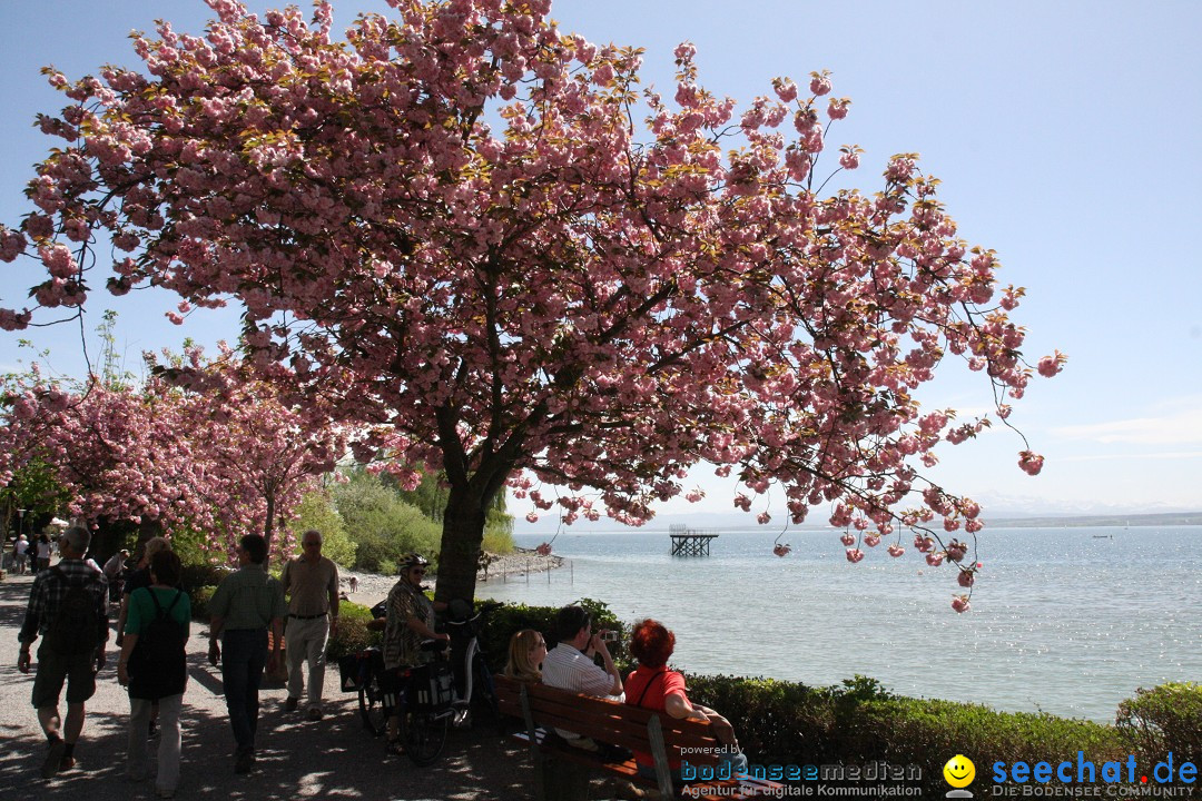 41. Internationale Flottensternfahrt am Bodensee: Meersburg, 28.04.2012