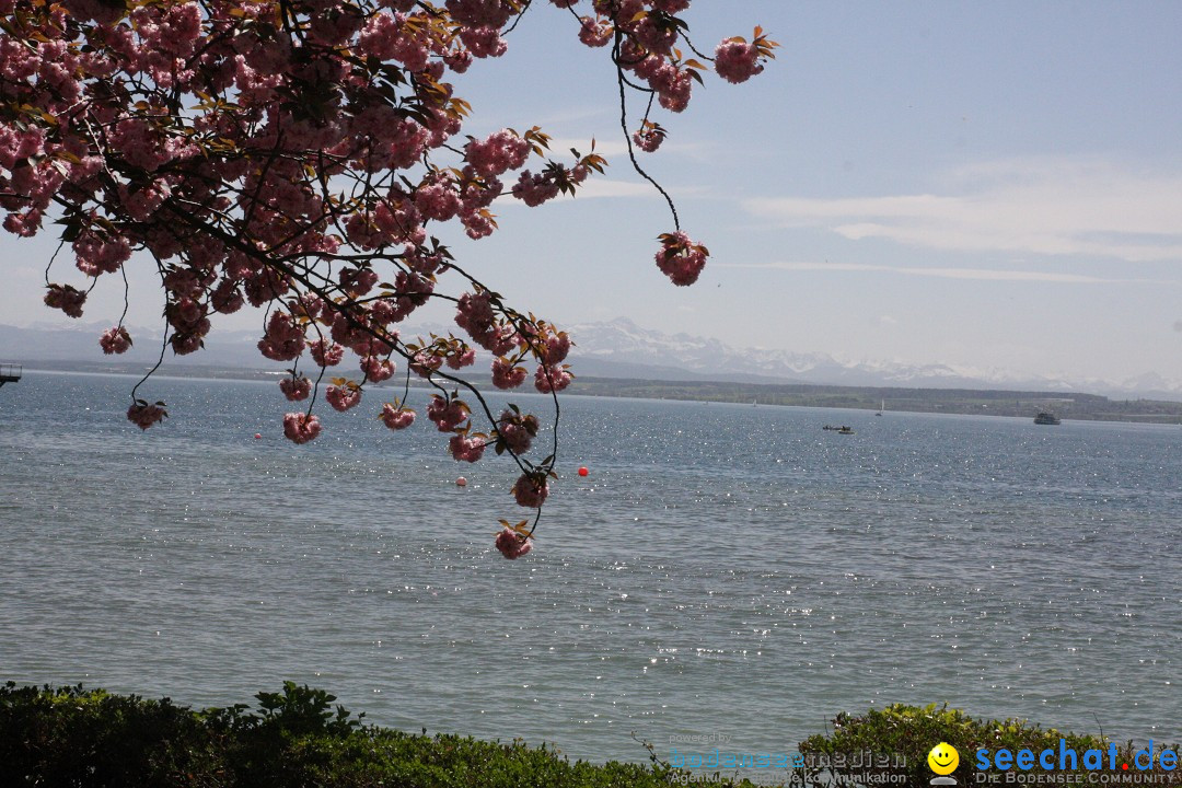 41. Internationale Flottensternfahrt am Bodensee: Meersburg, 28.04.2012