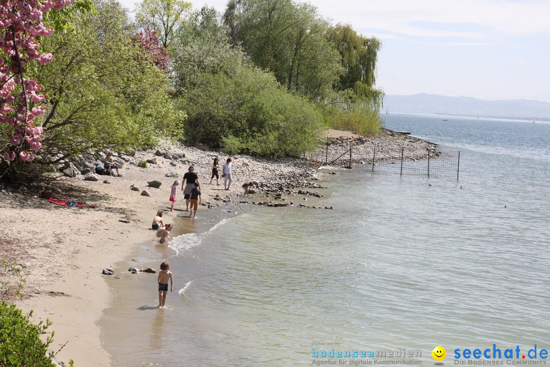 41. Internationale Flottensternfahrt am Bodensee: Meersburg, 28.04.2012