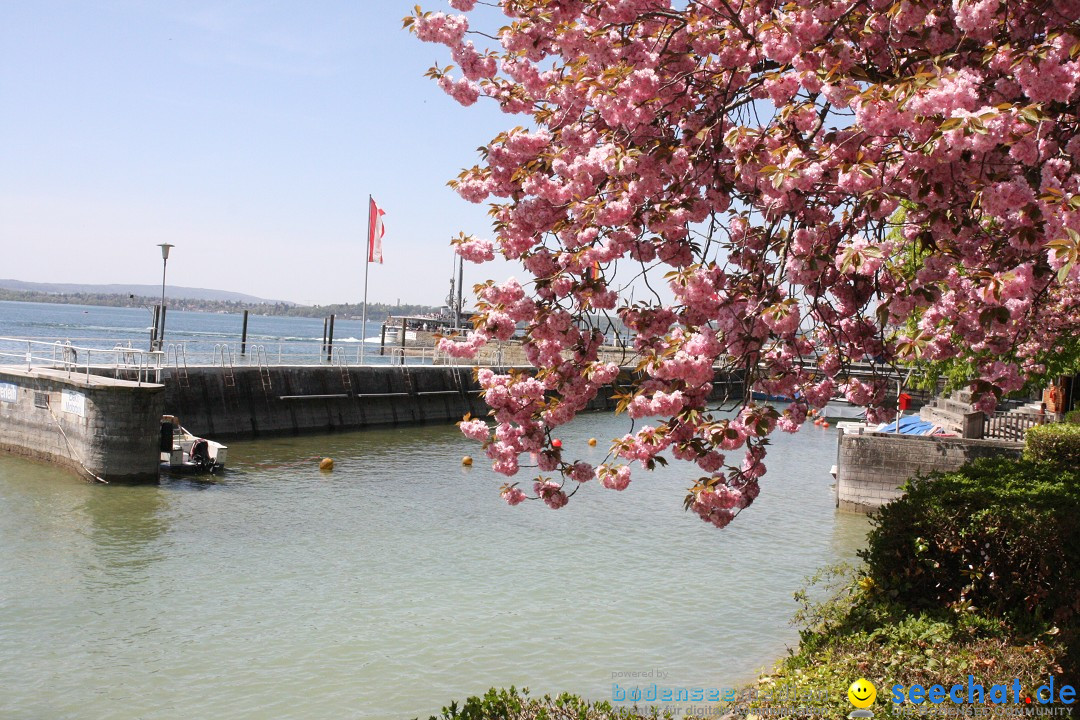 41. Internationale Flottensternfahrt am Bodensee: Meersburg, 28.04.2012