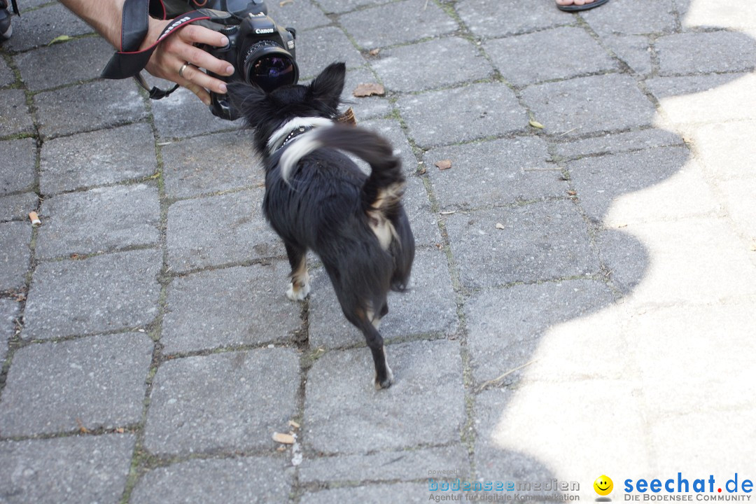 seechat.de Team-Grillfest: Owingen am Bodensee, 07.06.2012