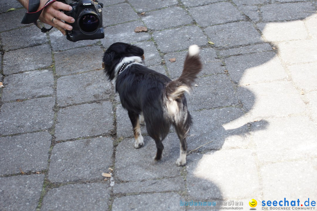 seechat.de Team-Grillfest: Owingen am Bodensee, 07.06.2012