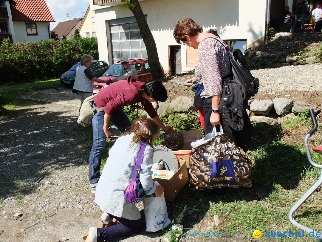 Hochdorfer Dorffest: Hochdorf, 09.06.2012