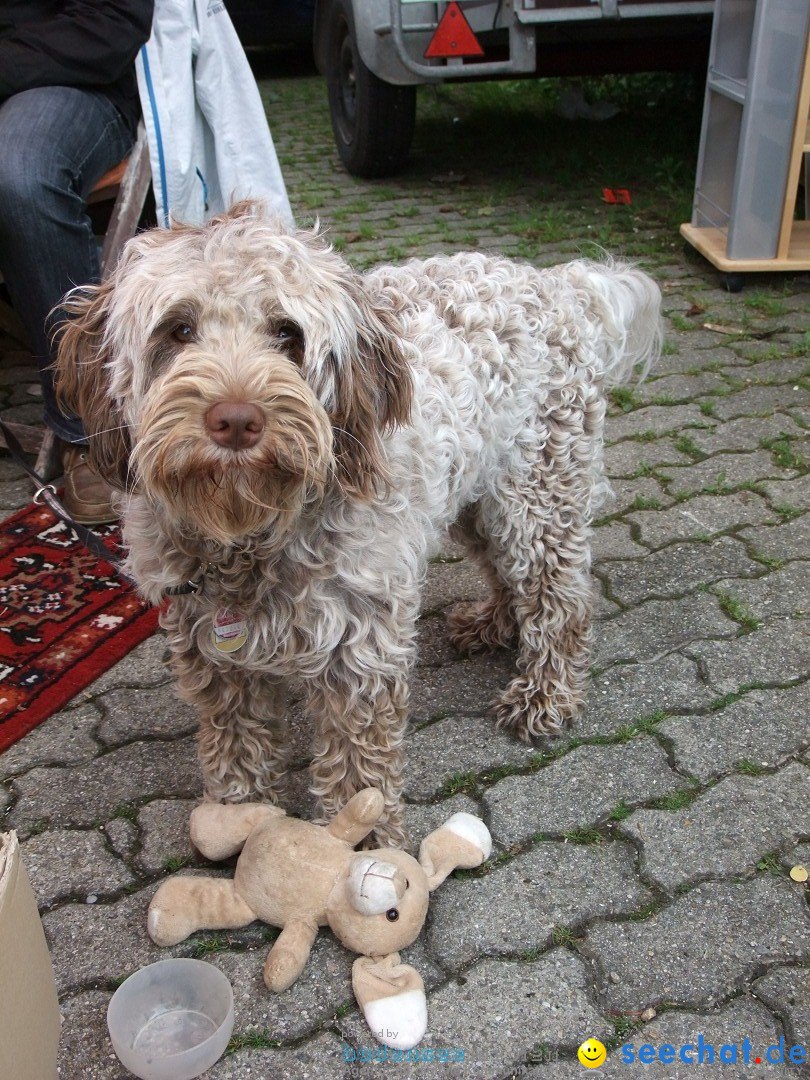 Hochdorfer Dorffest: Hochdorf, 09.06.2012