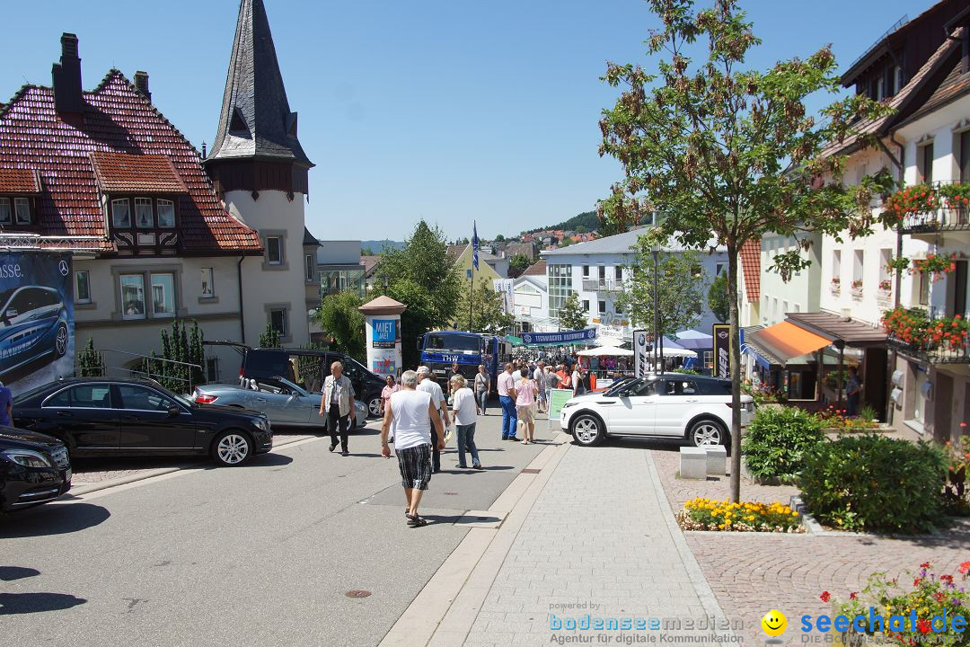 seechat.de Infostand: Schweizerfeiertag in Stockach am Bodensee, 16.06.2012