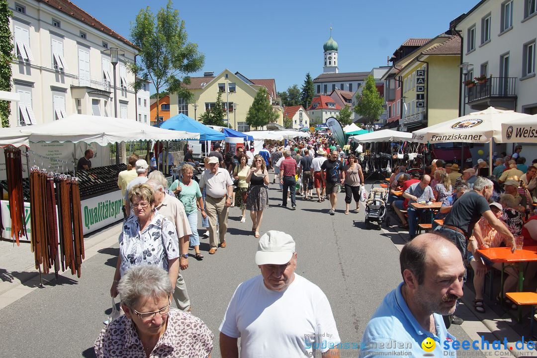 seechat.de Infostand: Schweizerfeiertag in Stockach am Bodensee, 16.06.2012