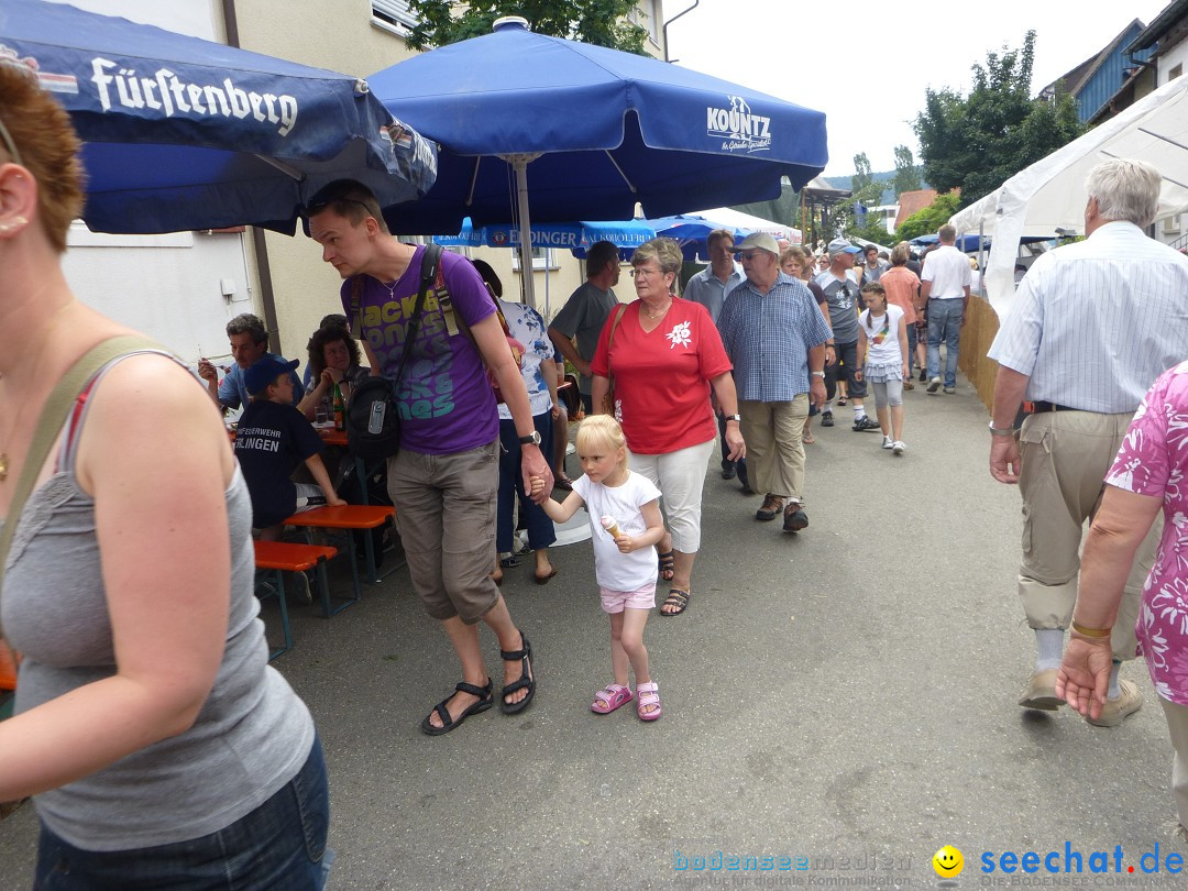 Hafenfest Ludwigshafen am Bodensee, 24.06.2012