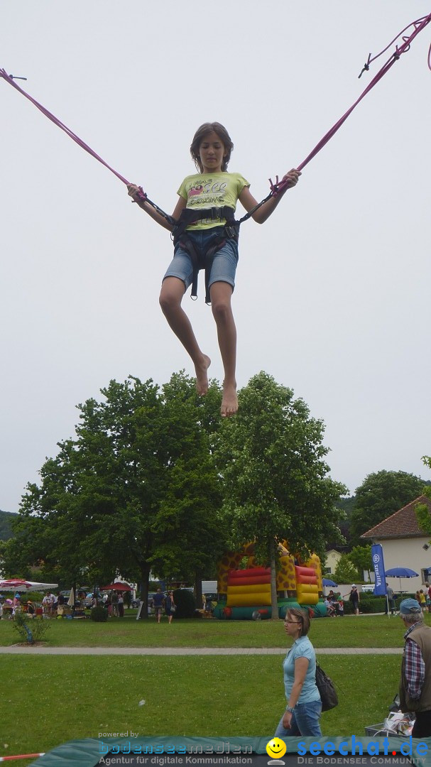 Hafenfest Ludwigshafen am Bodensee, 24.06.2012