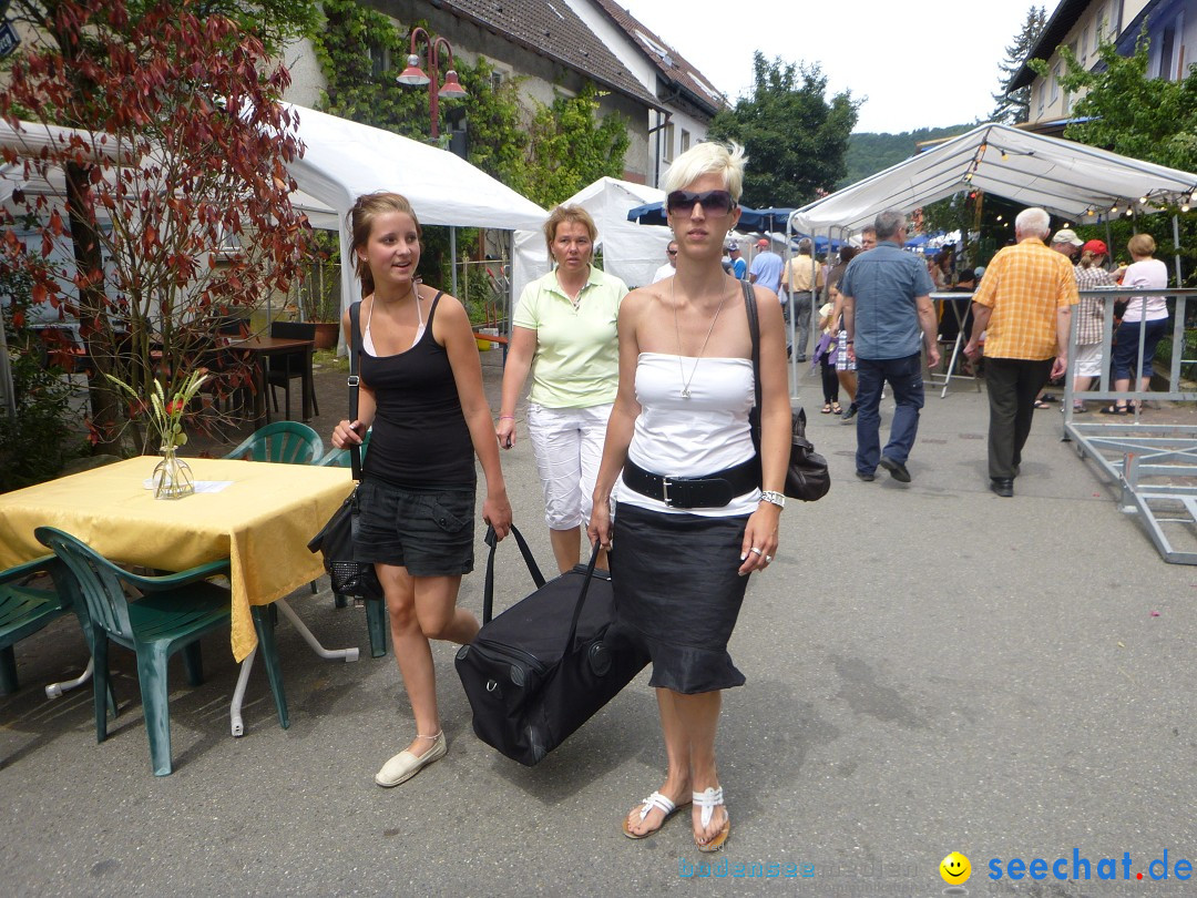 Hafenfest Ludwigshafen am Bodensee, 24.06.2012