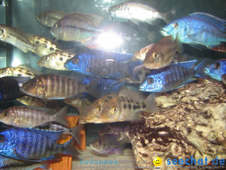 AQUA-FISCH 2009