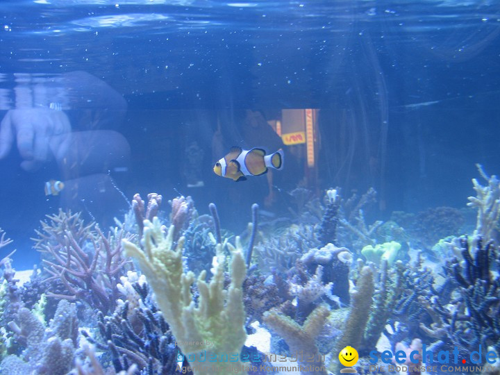 AQUA-FISCH 2009