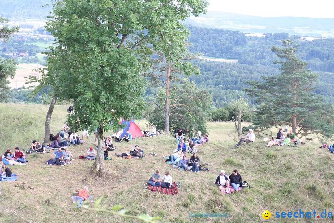 Jan Delay &amp;amp;amp;amp;amp; Disko No.1 - Hohentwielfestival: Singen am Bodensee, 14.07.2012