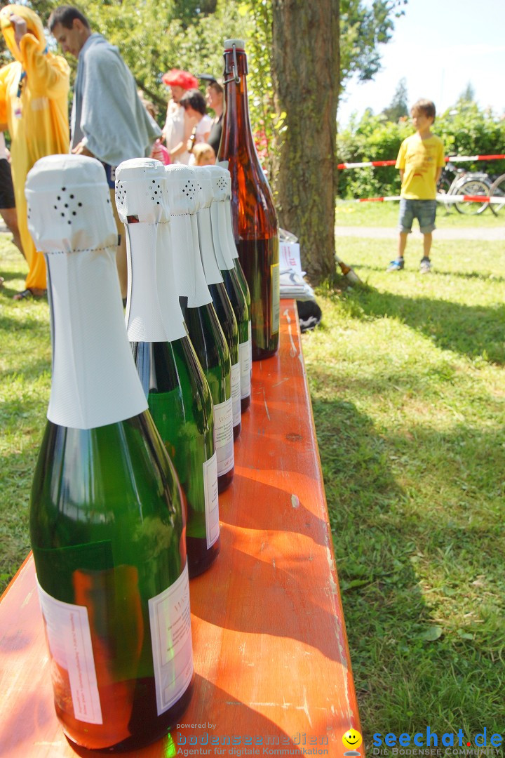 Badewannenrennen 2012: Wasserburg am Bodensee, 14.07.2012