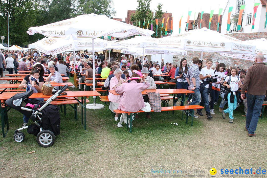 DONAUFEST 2012: Ulm an der Donau, 15.07.2012