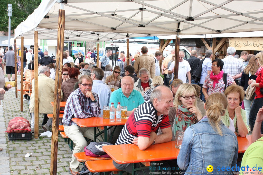 DONAUFEST 2012: Ulm an der Donau, 15.07.2012