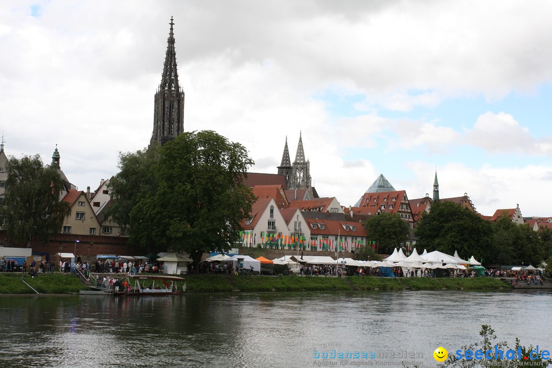 DONAUFEST 2012: Ulm an der Donau, 15.07.2012